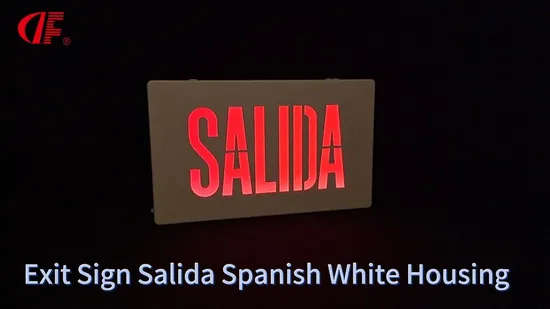 LED Emergency Exit Sign English + Arabic 120/277V Ceiling Mounted 