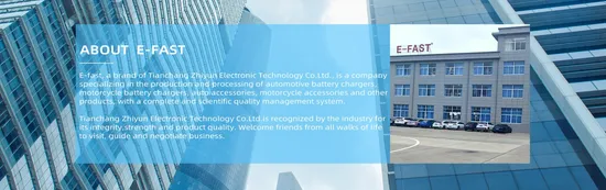 High Conversion Outdoor Emergency Power Supply 200W DC to AC Car Truck Power Inverter 12V 220V Solar Power Inverter Converter 