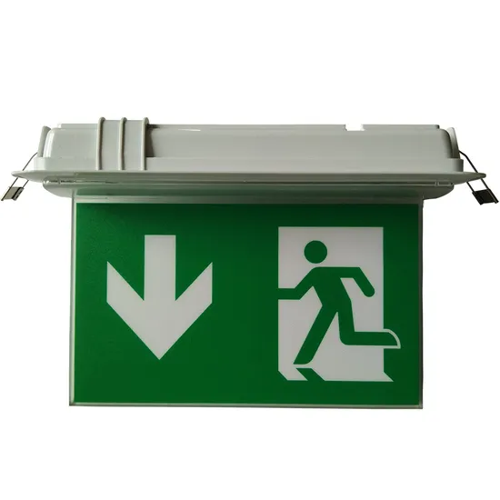 Small Type Ceiling Recessed Self Test Rechargeable LED Exit Sign 