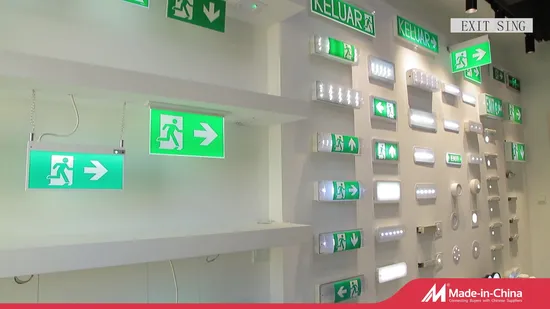 Long Endurance IP20 Emergency Exit Sign LED 16 PCS 2835 SMD LED Wall Surface Mounted/Suspended 