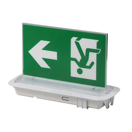 3W Ceiling Recessed LED Emergency Light Double