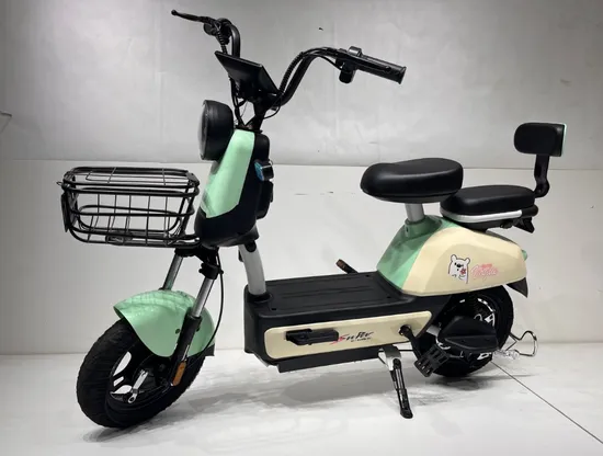 Cargo Cheap Two Wheel Electric Cycle 800W with Conversion Kits/Part 