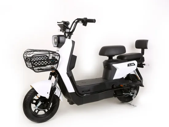 Big Load Capacity Cargo Electric Cycle 
