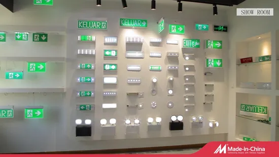 Customized Emergency Exit Sign LED 30 PCS 2835 (0.2W) SMD LED Li