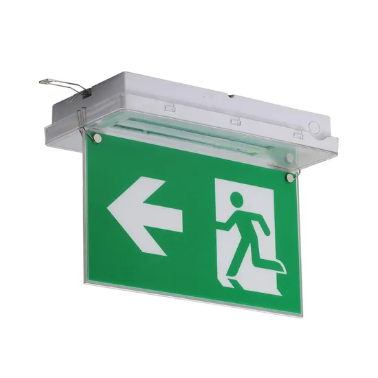 CE RoHS 5W Ceiling Recessed IP65 Rechargeable LED Emergency Exit Sign 